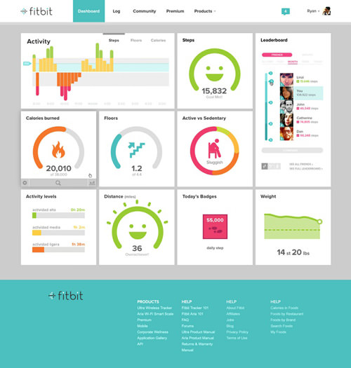 Flat And Thin Are In_fitbit_dashboard_mini