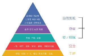 
阿里媽媽：聊聊在線分享有關的那些事兒