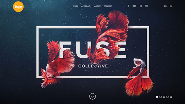 Fuse Collective