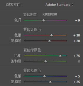 Photoshop調(diào)出外景人像唯美童話風(fēng)格,破洛洛